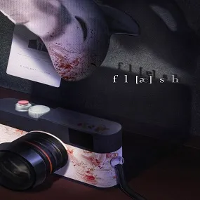 fl[ae]sh 공식 포스터